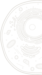 Section Aside Image