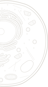 A black and white image of a clock.