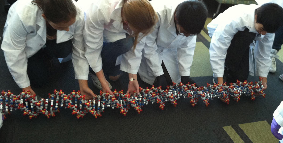 A group of people in lab coats are touching the molecular structure.