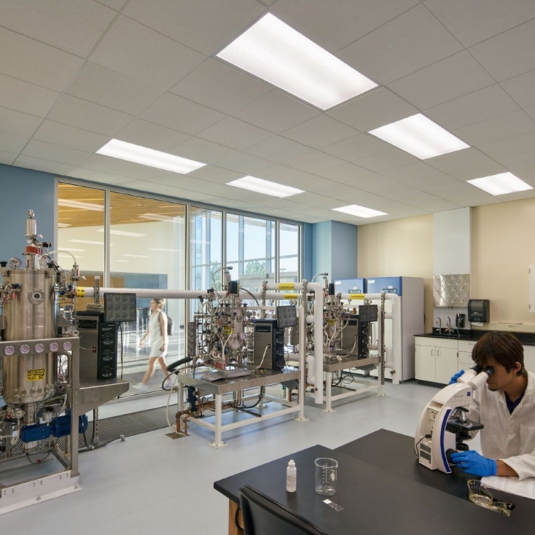 Inside a Lab