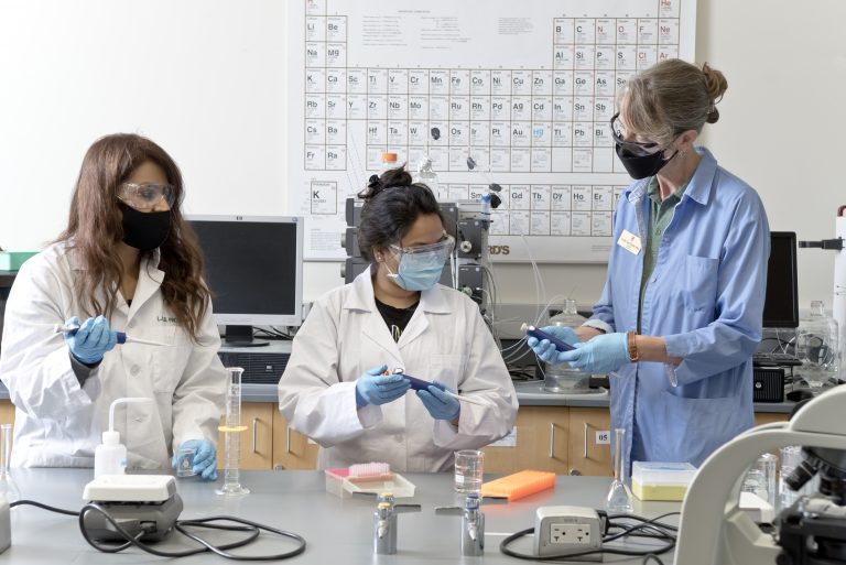 Students working in lab
