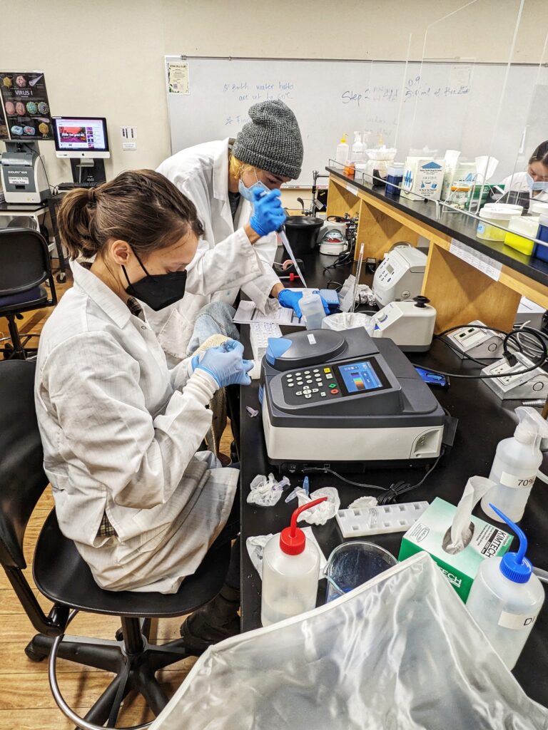 Student working in lab