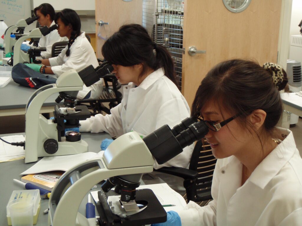 Students looking in microscopes