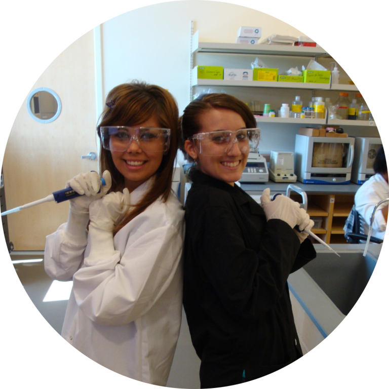 Lab Bridge Program