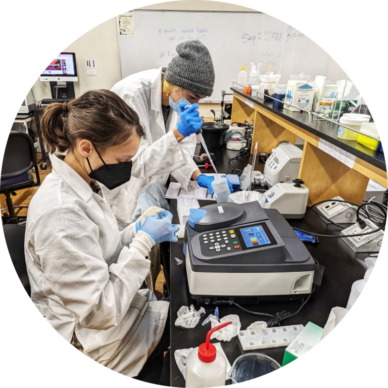 Students in Lab