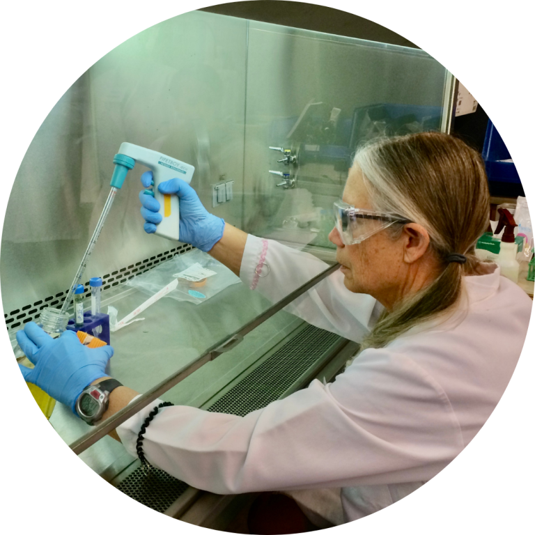 working in a lab